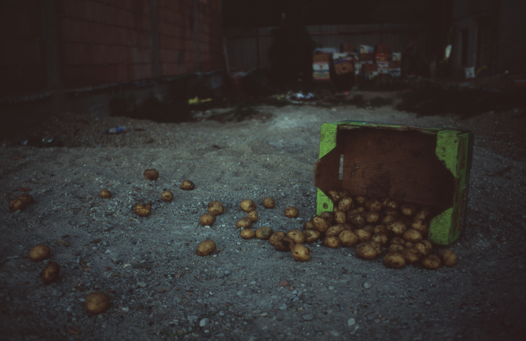 Ovidiu Gordan art photography Romanian color slides potato